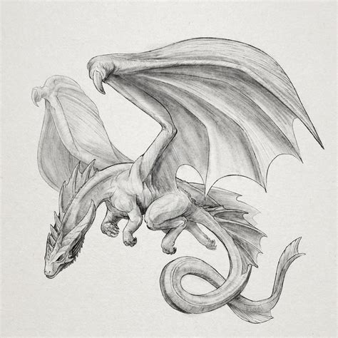 A Flying Dragon Pencil Drawings Of Animals Dragon Sketch Drawing