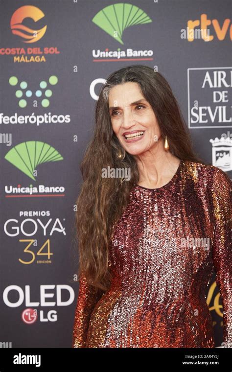 January 25 2020 Malaga Andalucia Spain Angela Molina Attends 34th