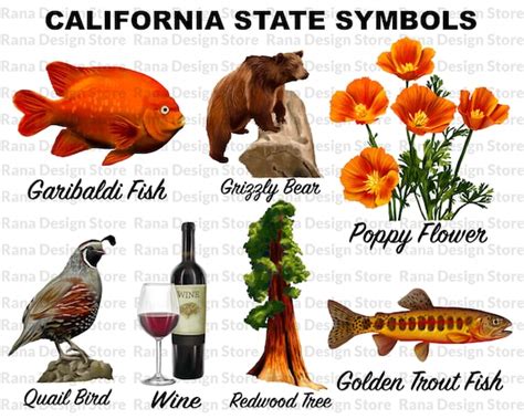 Californias State Symbols