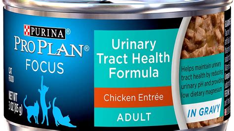 If your cat has a sensitive stomach or urinary problems, then homemade cat food is the best diet for your feline. Best Canned Cat Food For Urinary Health - Cat Choices