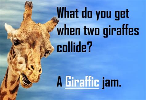 Giraffe Puns Jokes And Pick Up Lines
