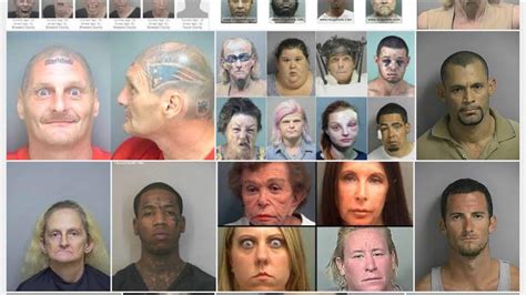 pinellas county arrests and mugshots