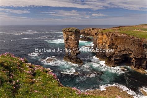 Yesnaby Castle Sea Stack West Mainland Orkney Scotland By Barbara R