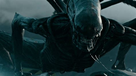 Alien Awakening Será El Próximo Proyecto De Ridley Scott Dentro Del