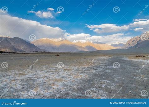 Hunder White Sand Desert In Nubra Valley Ladakh India Stock Image
