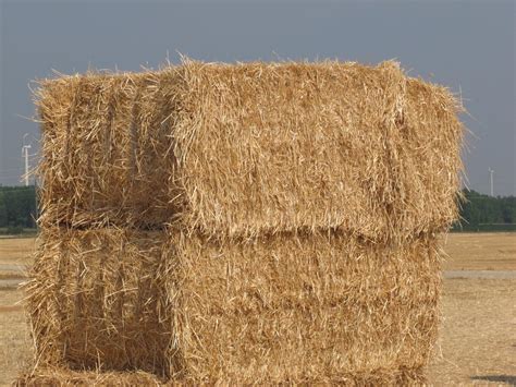 Large Square Bales Of Hay For Sale Near Me Deanne Myles