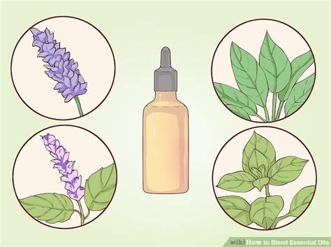 How To Blend Essential Oils 11 Steps With Pictures Wikihow