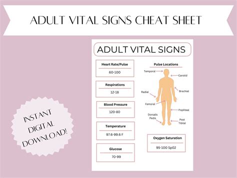 Vital Signs Cheat Sheet Adult Vital Signs New Grad Nurse Cheat