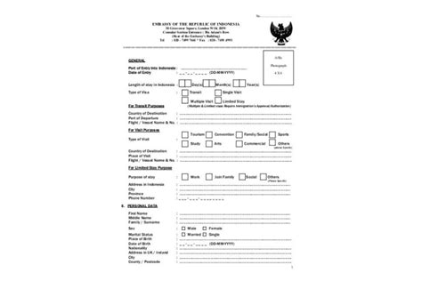 Indonesia Multiple Entry Visa Form