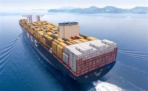 Msc And One Linked To 23000 Teu Newbuilds India Shipping News