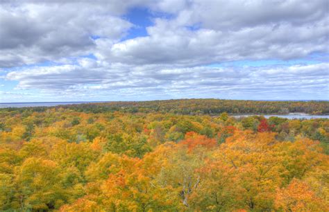 Bright Autumn Trees At Peninsula State Park Wisconsin Image Free