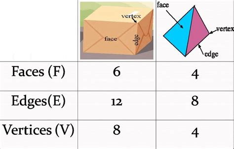 Faces Edges And Vertices 3d Shapes Math Measurement Vertex Kulturaupice