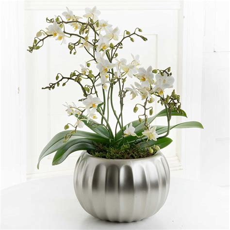 Best artificial christmas trees 2021: Orchid Globe | FlyingFlowers.co.uk