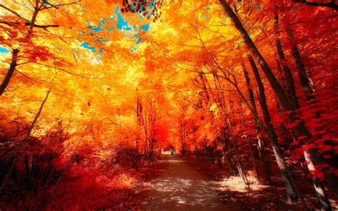 The Colors Of Autumn Part Iii By Myinqi On Deviantart