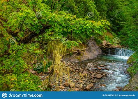 A Small Waterfall In A Green Forest Small Mountain Rocky