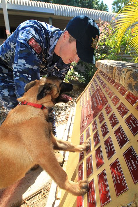 If your ac indoor fan isn't working, first check to make sure a breaker hasn't been tripped. Military Working Dog Handler, Leading Aircraftman Ryan ...