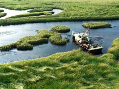 Maybe you would like to learn more about one of these? Everglades National Park • Key Largo | Inbound Destinations