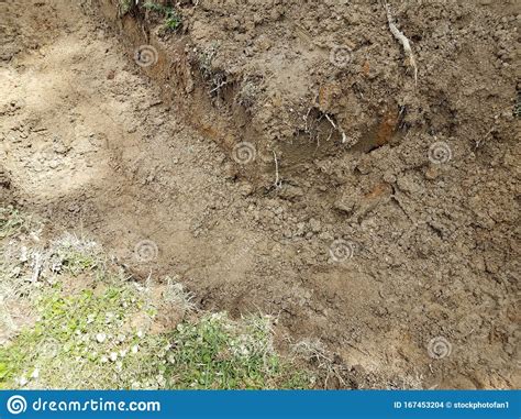 Trench Or Hole In Dirt Or Lawn With Roots Stock Photo Image Of Yard