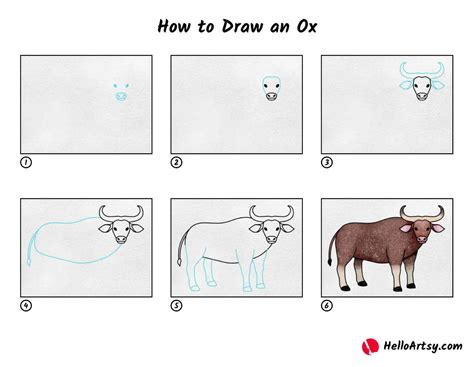 How To Draw An Ox Helloartsy