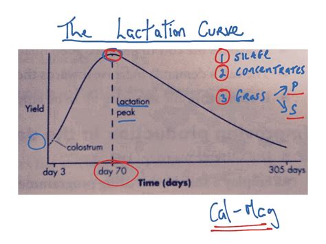 The Lactation Curve For Dairy Cows Science Showme