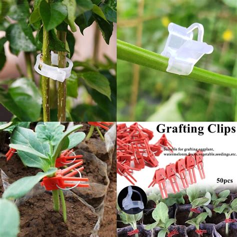 50pcs Plant Grafting Clip Plastic Gardening Tool Tomato Vine Bushes