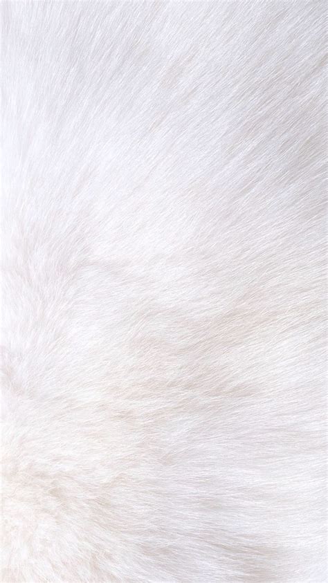 White Fur Iphone Wallpaper Carta Da Parati Bianca