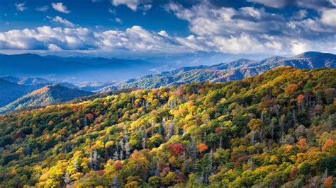 The blue mountains national park in sydney was once praised by queen elizabeth ii as the most beautiful place in the world. Great Smoky Mountains National Park