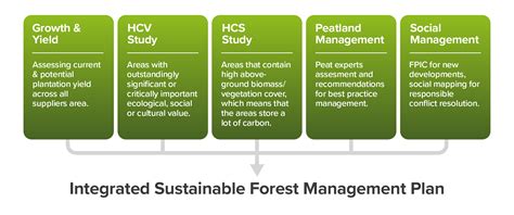 Forest Sustainability Dashboard