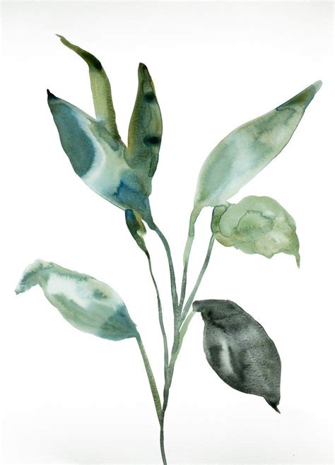 Plant Painting Plant Drawing Botanical Watercolor Botanical Art