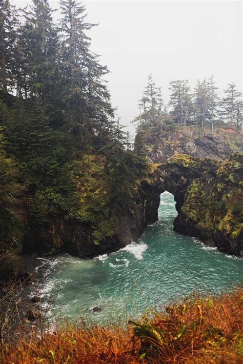 The Ultimate Oregon Coast Road Trip All The Best Stops In 2023