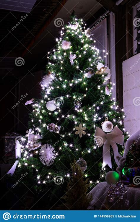 Christmas Tree With White Lights Stock Image Image Of Black Plant