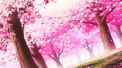 Sakura Trees Anime Aesthetic Anime Original Sakura Cherry Blossom