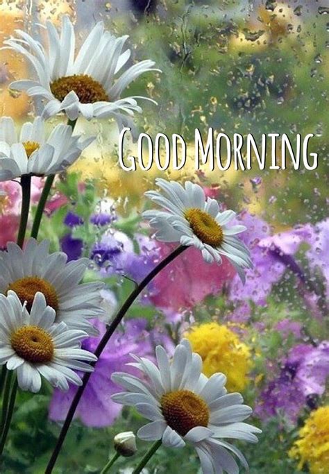 Have a sparkling day ahead. Good Morning Rainy Flowers Pictures, Photos, and Images ...