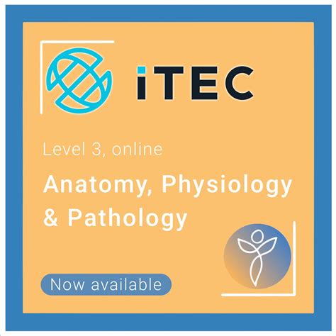 Itec Anatomy And Physiology Is Now Available Essential Training