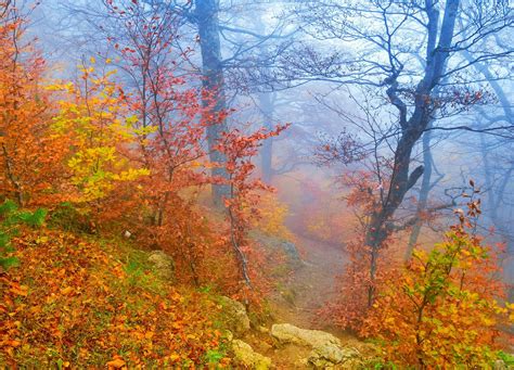Autumn Mist John Lloyd Young Photo 38410507 Fanpop