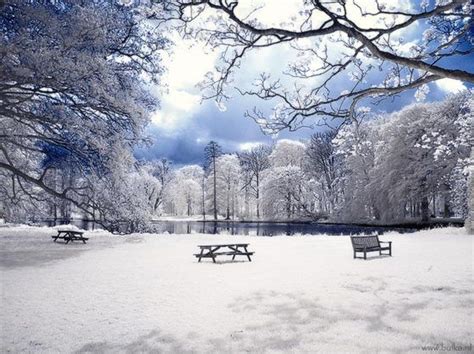 Winter Wonderland Beautiful Infrared Photography By Maria Netsounski