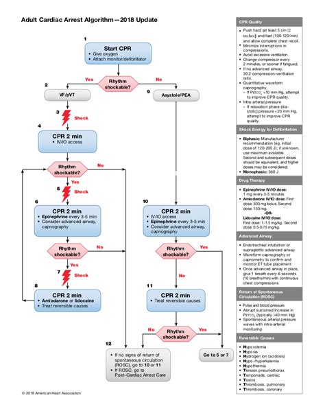 Acls Algorithmus Acls Algorithm Overview In 2020 With Images Acls