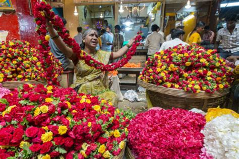 Flower Markets In India Flower Main Markets Times Of India Travel