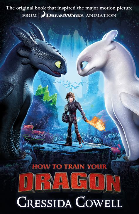Where can i find the dragon manual book? How to Train Your Dragon: Book 1 by Cressida Cowell ...