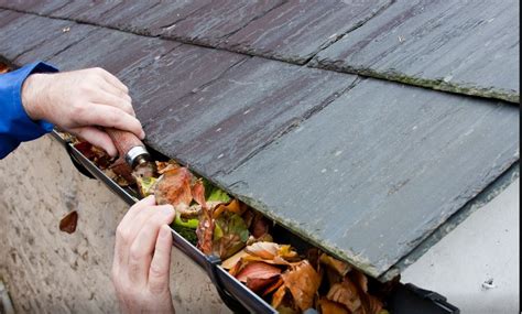 Keeping your gutters clean is a simple job that can help prevent problems like blocked downpipes and rainwater leaking into your ceiling cavity. Gutter Cleaning Service: Why Should I Pay for One?