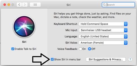 How To Disable Enable Type To Siri On Macos Big Surcatalina Macos Mojave High Sierra