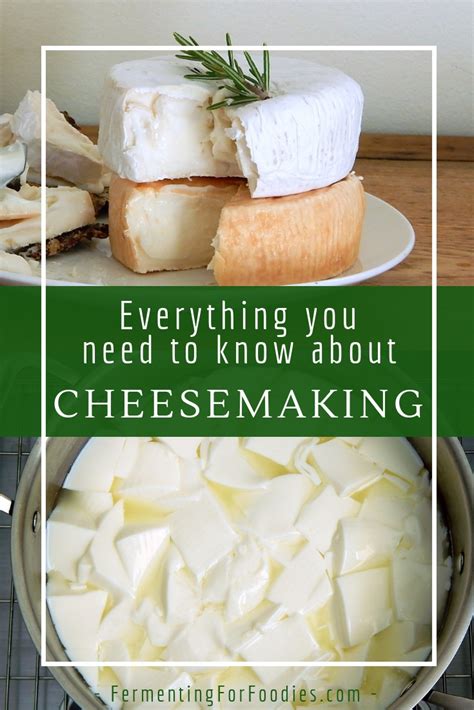 How To Make Cheese At Home Fermenting For Foodies