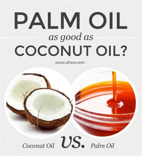 Palm Oil Benefits Is Palm Oil Better Than Coconut Oil