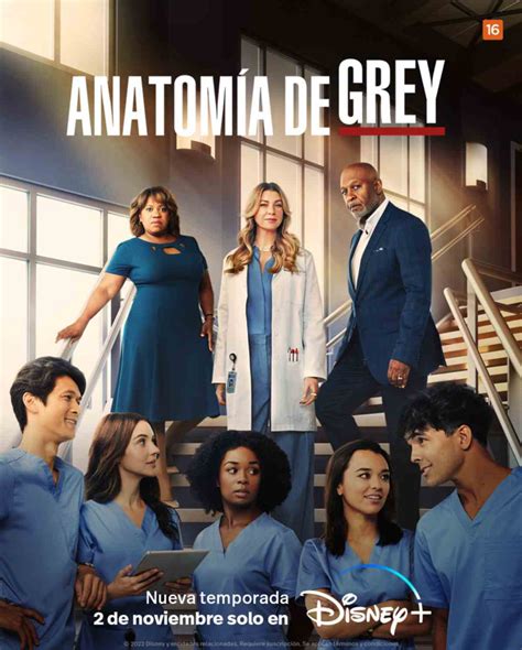 Anatomía de Grey Temporada 19 SensaCine com