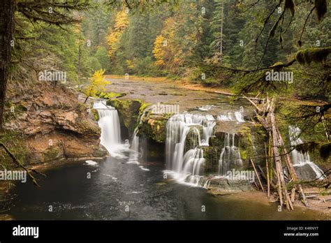 Lower Lewis Falls Located In The Ford Pinchot National Forest