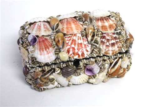 Medium Seashell Treasure Chest Shell Jewelry Box Shell Crafts