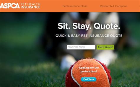 Read our guide for the pros and cons of the different types of cover. How to find the best pet insurance plan for your clients ...