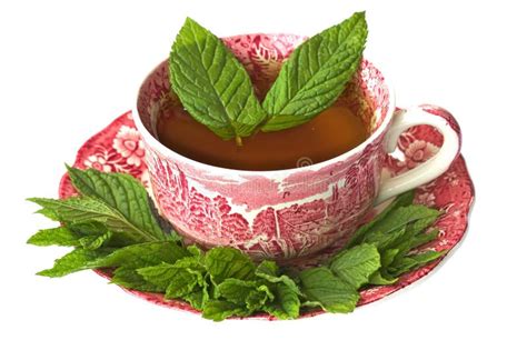 Cup Of Peppermint Tea With Fresh Leaves Stock Image Image Of