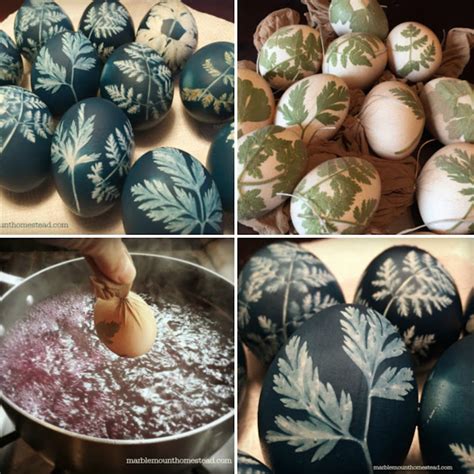 How To Dye Easter Eggs Naturally With Cabbage And Vinegar