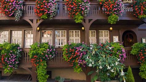 20 Wonderful Window And Balcony Flower Box Ideas
